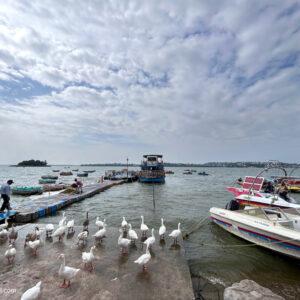 Lower Lake in Bhopal: Where Tranquility Meets Natural Beauty