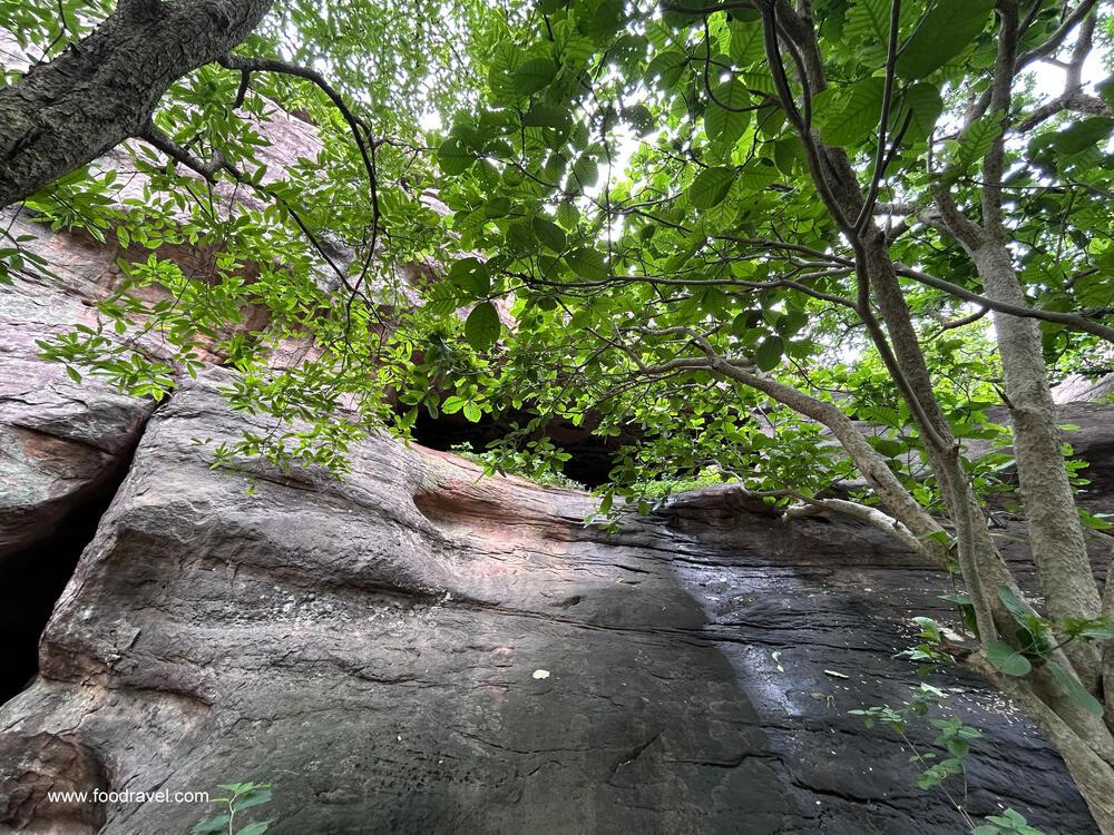 bhimbekta rock shelter