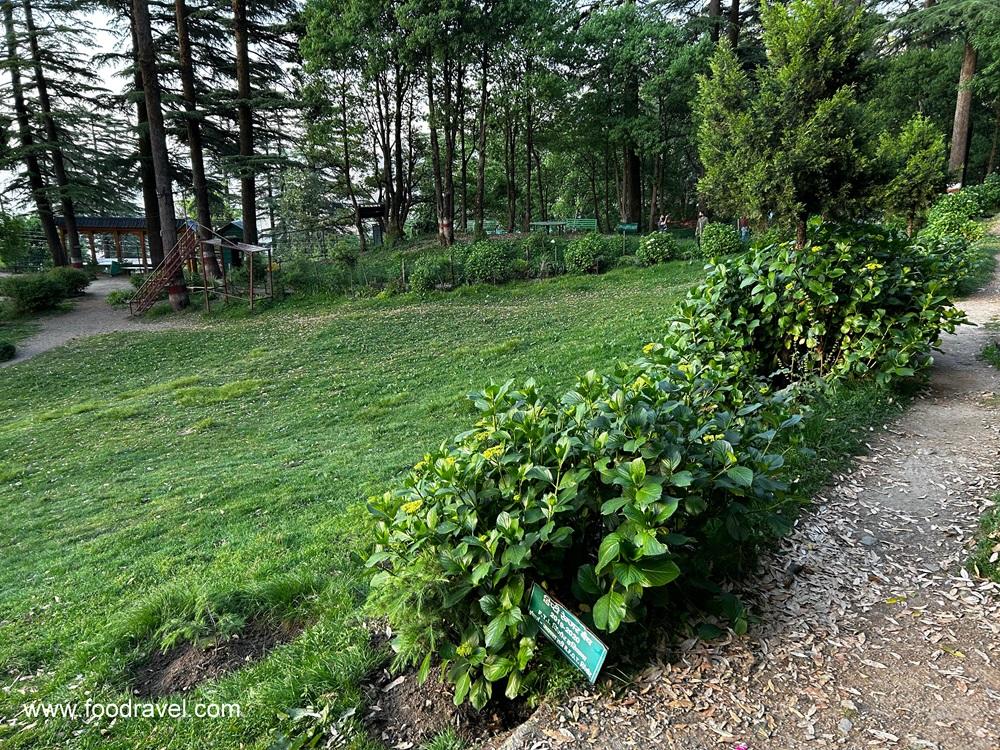 eco park at dhanaulti