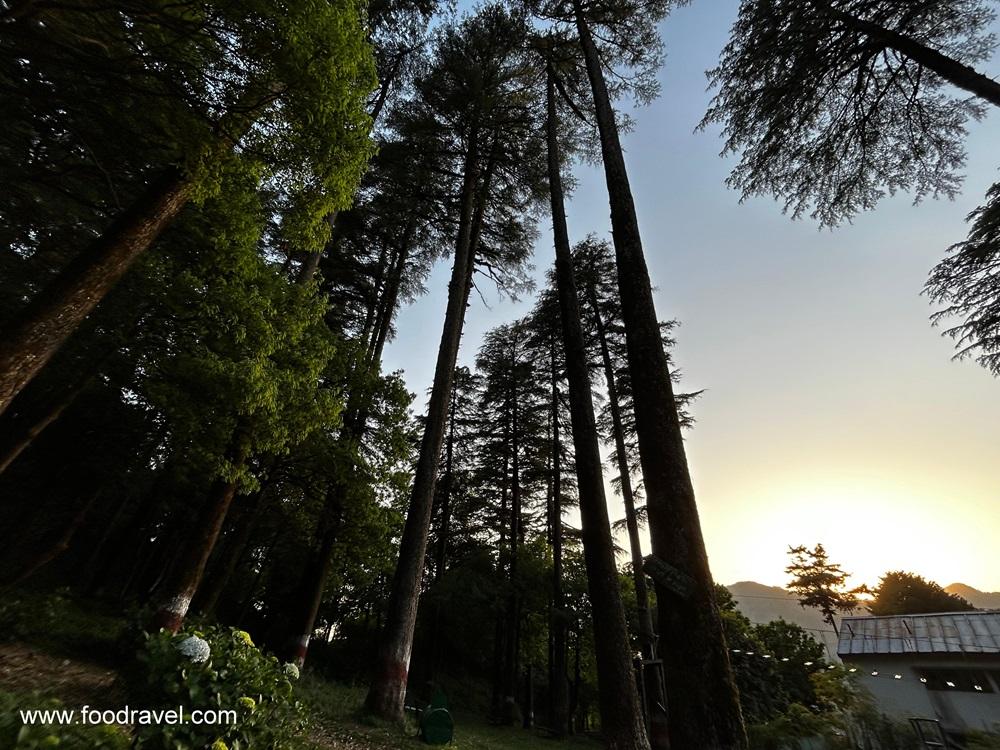 eco park at dhanaulti