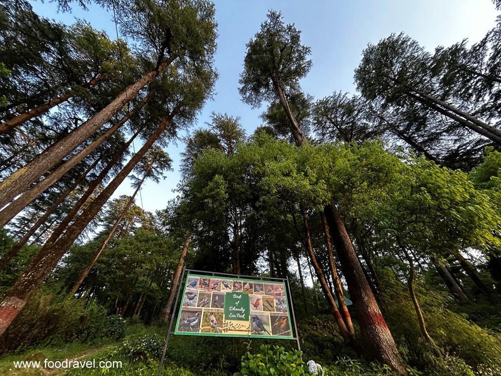 eco park at dhanaulti