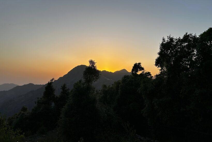 One Night in Dhanaulti: Escaping the Chaos and Finding Serenity in the Lush Green Village