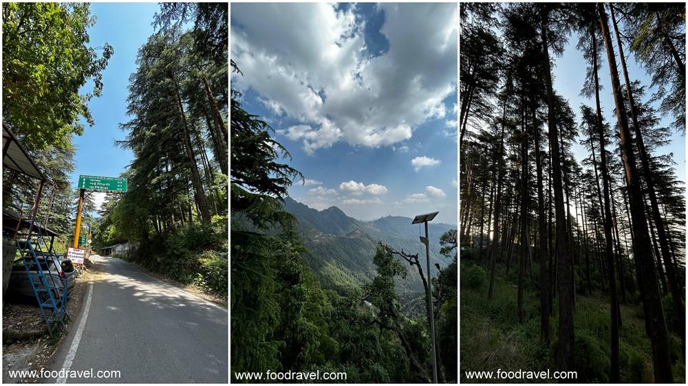 one night in dhanaulti