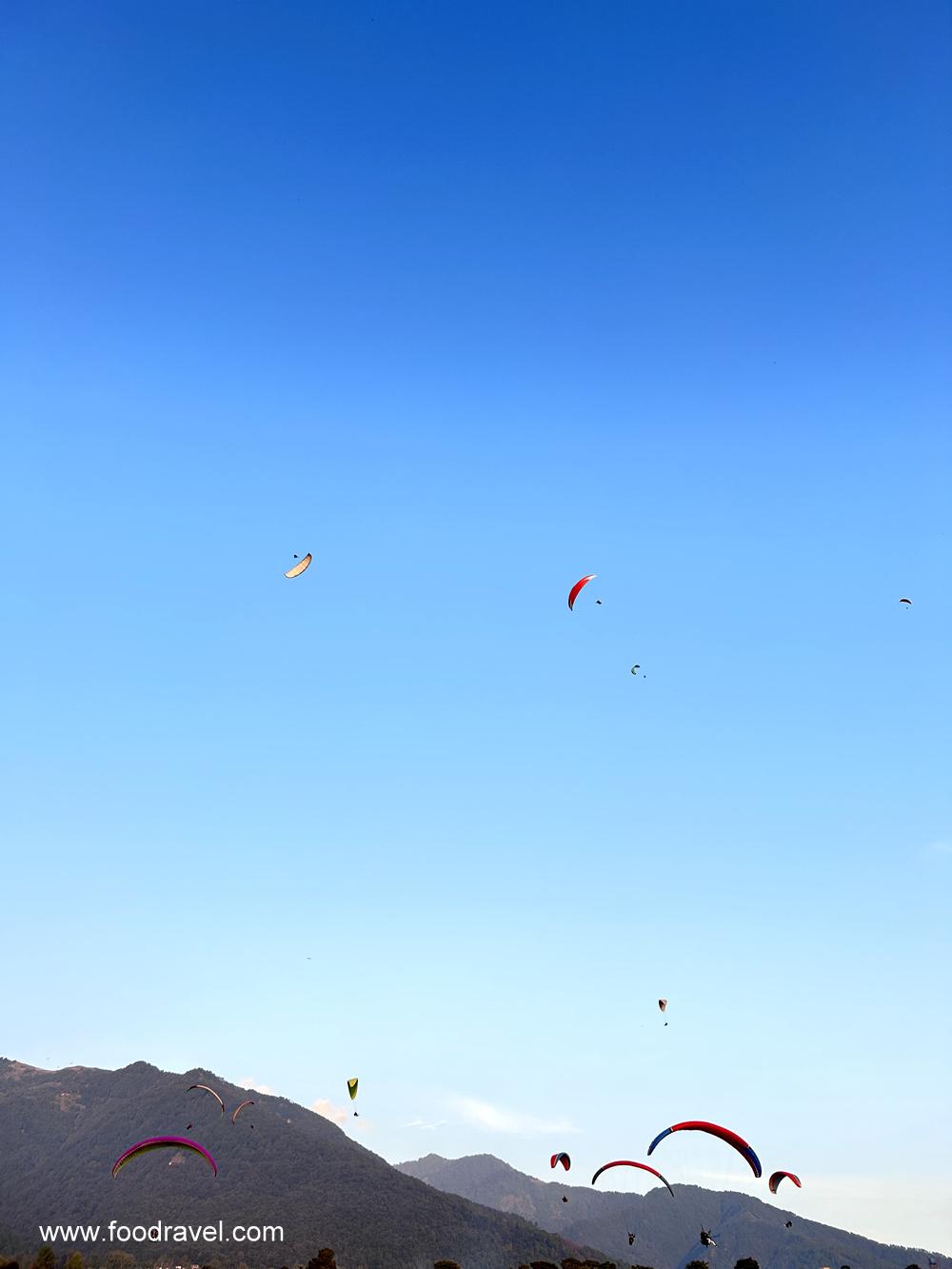 paragliding in bir