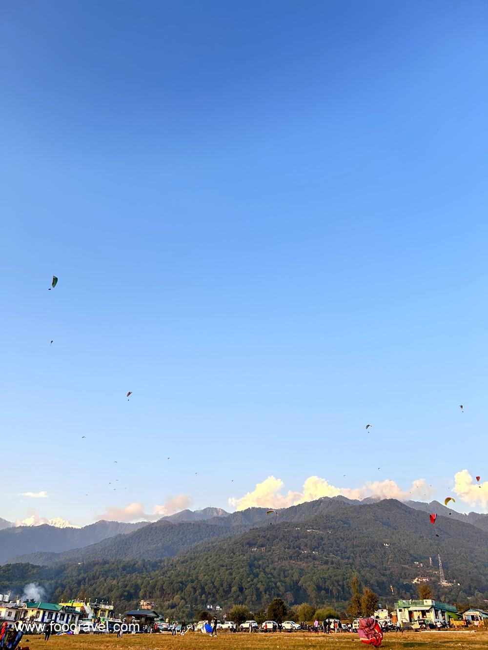 paragliding in bir