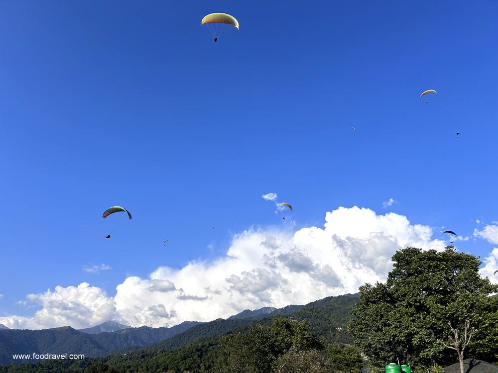 paragliding in bir